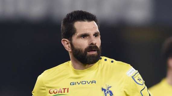 UFFICIALE: Chievo Verona, Pellissier ha rinnovato fino al 2019