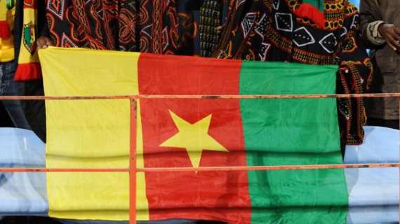 Camerun, Broos dovrebbe essere il prossimo ct