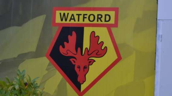 UFFICIALE: Watford, Luis Suarez in prestito al Gimnastic Tarragona