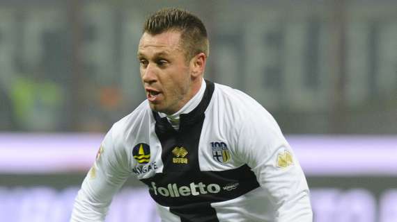 Parma, per Cassano spunta il possibile ritorno alla Sampdoria