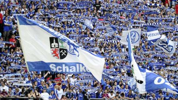 Via alla Champions: Harit, il nuovo talento "made in Schalke"