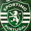 OFICIAL: Sporting Clube de Portugal, Rui Borges nuevo entrenador