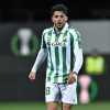 Real Betis, Fornals: "Queríamos dejar un buen sabor de boca"