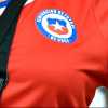 Chile, Luis Mena ejercería como seleccionador interino