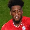 Immagine news 19