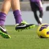 Újpest FC, Damir Krznar ratificado como entrenador