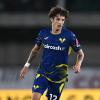 Varapalo para el Hellas Verona FC: Bradaric sufre una lesión. Comunicado del club...