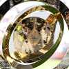 Mundial de Clubes, arrancan los Octavos de Final. La programación