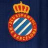 RCD Espanyol, Manolo González: "Nos ha faltado algo de efectividad"