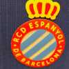RCD Espanyol, Manolo González: "Sabe mal perder un partido que ganábamos en el minuto 84"