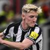 Liverpool, los dirigentes volverían a la carga por Gordon y Semenyo