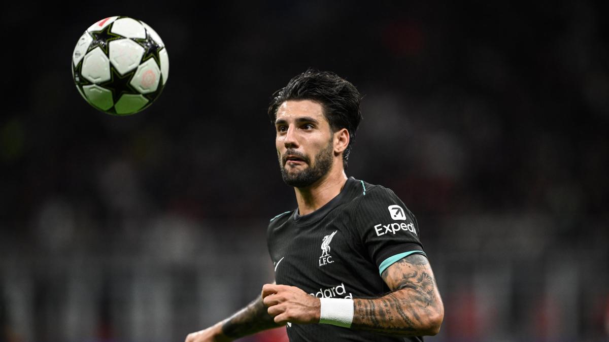 Immagine news Fútbol Internacional n.1