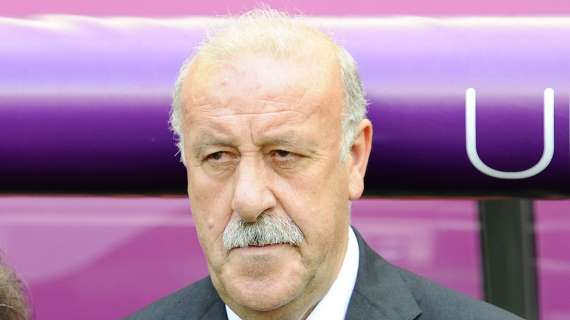 Del Bosque: "Somos una selección madura, no veterana"