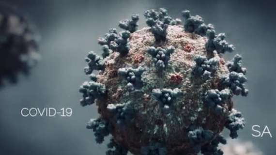 Coronavirus, 52 fallecimientos en España en la última semana