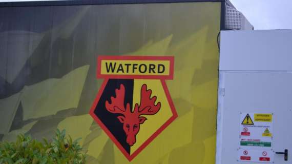 Watford, cedido el estadio a las autoridades para la lucha contra el coronavirus