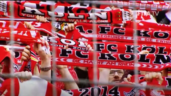 OFICIAL: Colonia, firma Rav van den Berg