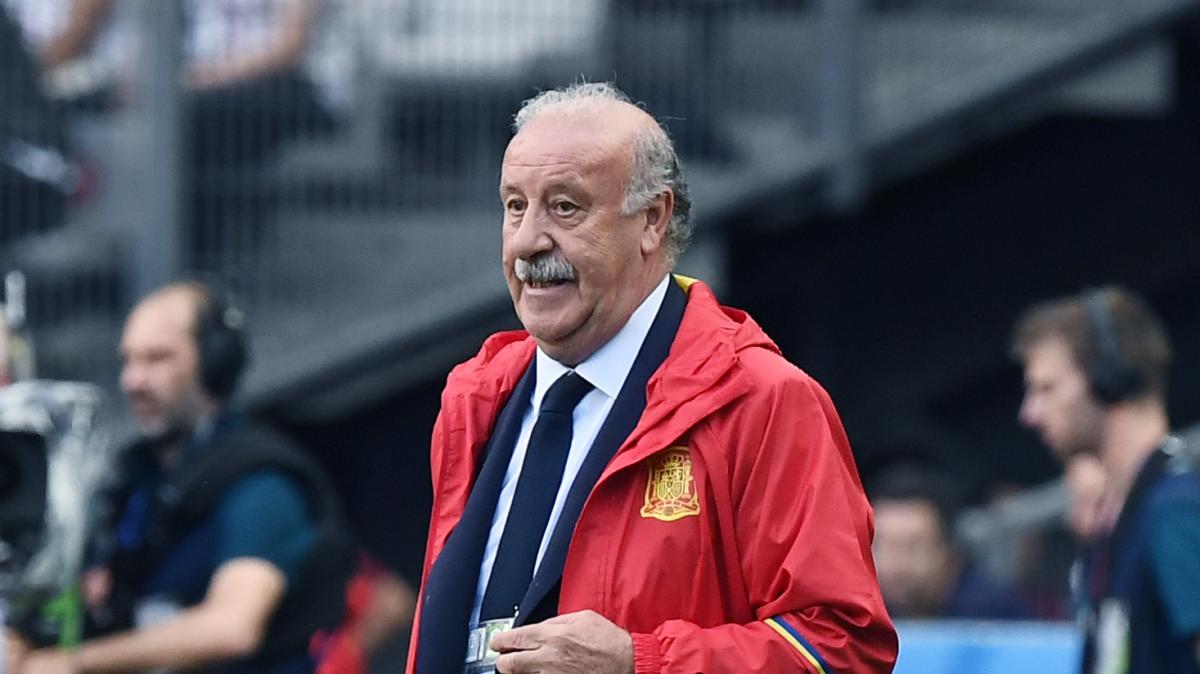 Del Bosque sobre el caso Yamal: "De la Fuente sabe qué hacer y actuará por el bien de España"