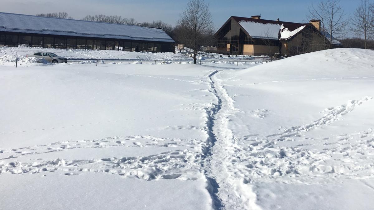 Immagine news Serie A n.6