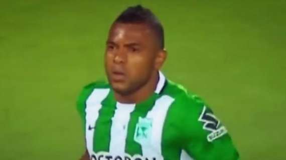 Palmeiras, Baptista carga contra Miguel Borja: "Fue contratado a precio de oro y no marca"