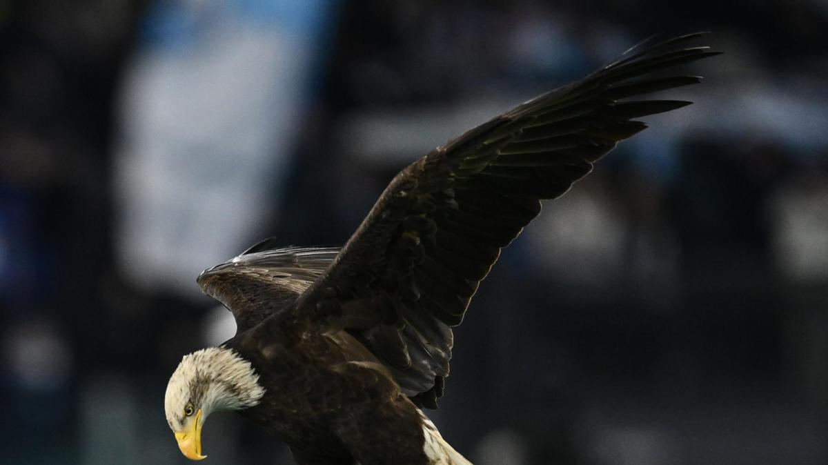 Immagine news Serie A n.6