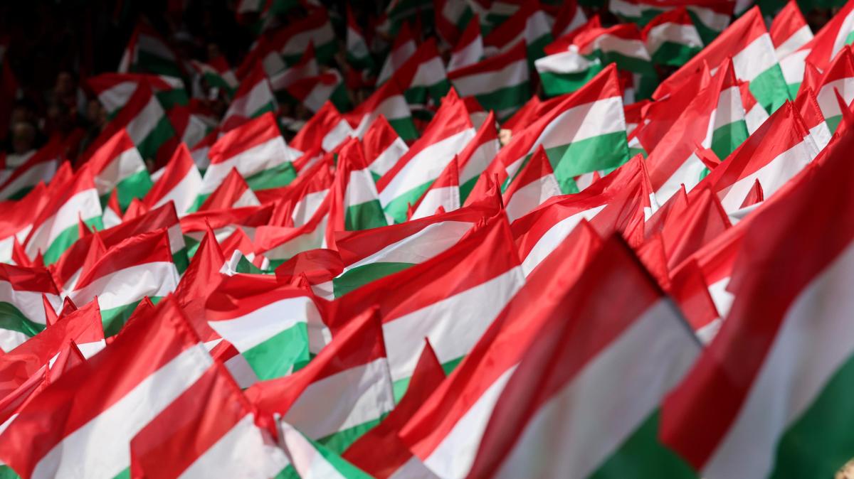 Immagine news Serie A n.2