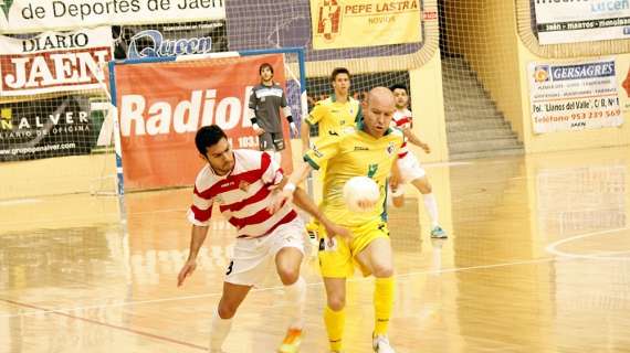 Fútbol Sala, el Jaén Paraíso Interior certifica la cuarta plaza tras ganar al Palma Futsal