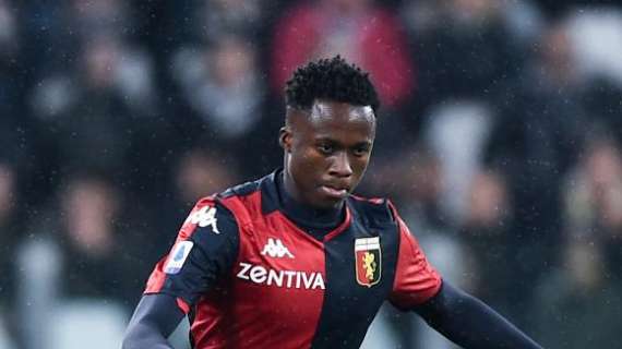 OFICIAL: Fiorentina, llega cedido Kouamé