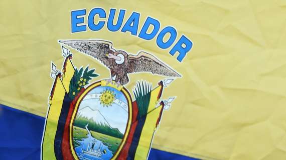 Ecuador, Vucetich reconoció contactos indirectos para ser seleccionador