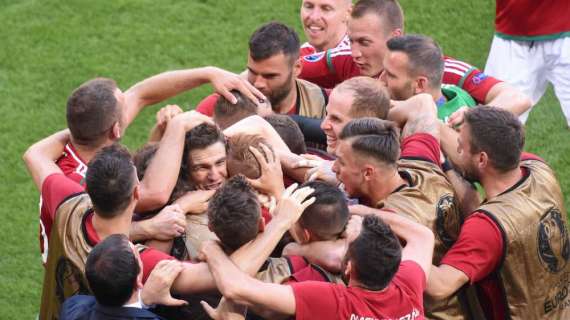 Hungría, Leekens deja la selección después de ocho meses