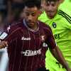 II Mattino - Salernitana, per Martusciello tandem Tello-Maggiore