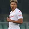 Gazzetta di Mantova - E' fatta per la punta Caprini. Fari su Vettorel e Muroni fa...