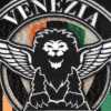 Il Gazzettino - Venezia, nuovo stadio a Tessera: investimento complessivo da 121 milioni
