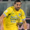 Sampdoria, per l'attacco tutto su Di Nardo