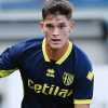 UFFICIALE - Venezia, colpo Adorante