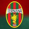 La Ternana è fallita, ripartirà dai dilettanti