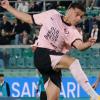 Giornale di Sicilia - Palermo, Pierozzi vale già il triplo