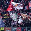 Cremonese: tra i possibili ds spunta il nome di Tramontano