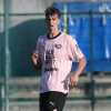 Palermo, il report dell'allenamento: Vasic torna in gruppo