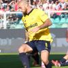 Serie B, Modena-Monza 1-0 (pt): Gliozzi dal dischetto, canarini in vantaggio all'intervallo...