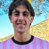 Giornale di Sicilia - Il Palermo cerca altri gol. Tocca anche ai centrocampisti