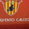 Immagine news 15