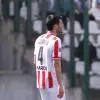 ESCLUSIVA TB - Schira:" Carraro rinnova col Vicenza fino al 2028"