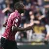 Le Cronache - Amatucci-Simy: la Salernitana va