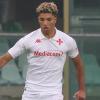 ESCLUSIVA TB - Schira: "Cesena, in programma incontro con la Fiorentina per Caprini"