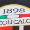 Immagine news 46