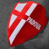 Padova, Di Maggio nel mirino
