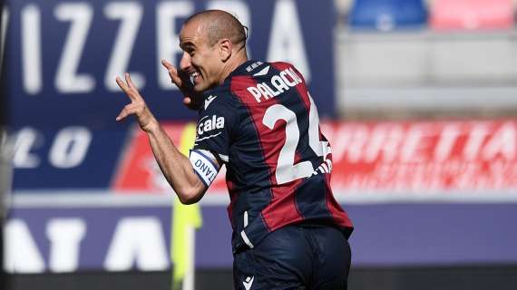 Schira: “Rodrigo Palacio offerto al Monza”  
