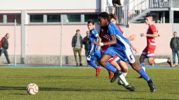 ESCLUSIVA TB - Schira: "Spezia, il Parma piomba su Kouda"