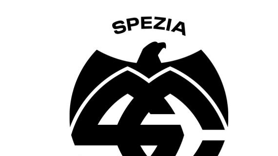 La Nazione - Spezia, la famiglia Platek ha versato il 60% della spesa a suo carico per la copertura della curva Ferrovia