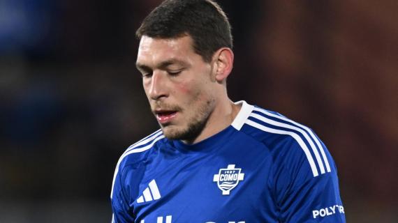 ESCLUSIVA TB - Schira: "La Samp e due club esteri pensano al 'Gallo' Belotti"